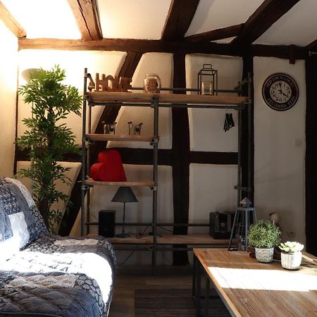 Sous Les Toits Du Zinc - Climatise Daire Colmar Dış mekan fotoğraf